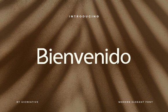Bienvenido: A Sans Serif Font for Editorial Excellence