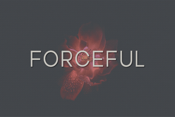 Forceful: A Versatile Sans Serif for Editorial Excellence